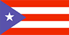 Puerto Rico Flag