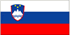 Slovenia Flag