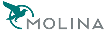 RICARDO MOLINA Group logo